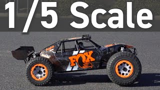 It's Huge! Losi Desert Buggy XLE 2.0 Large Scale RC Buggy