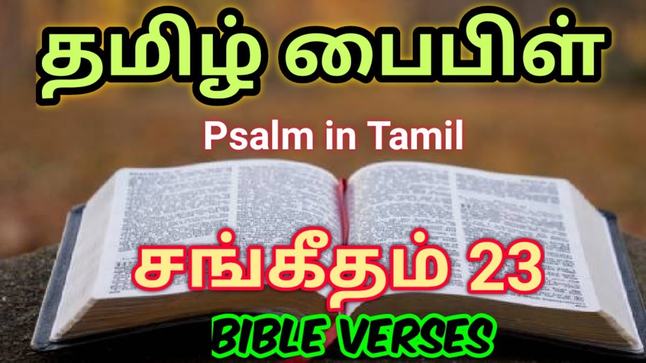 Roman Catholic Rc Bible Quotes In Tamil Roman Catholic Rc Bible Quotes In Tamil