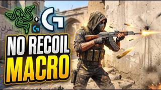 🔥 CS2 NO RECOIL SCRIPT | Logitech + Razer | Custom Sensitivity