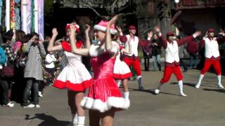 20100117 - 六福村 - 哈比哈妮表演 - 1(HD)