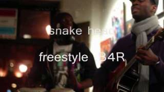 stories of a poet. b4r. snake head