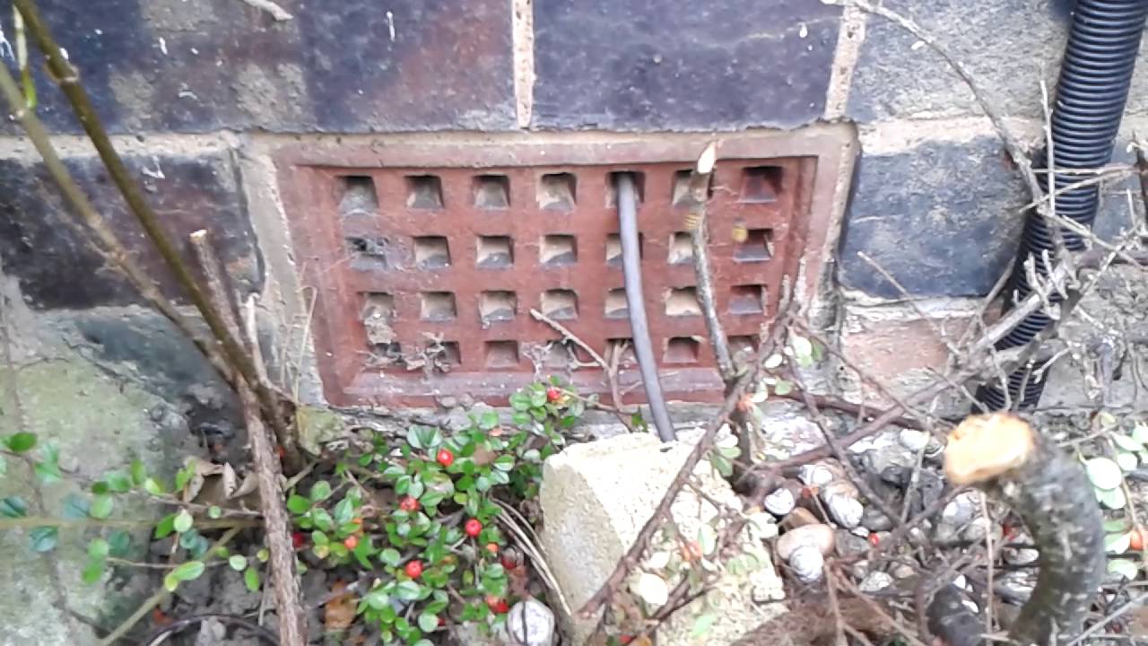 Wasps nest treatment air brick. YouTube