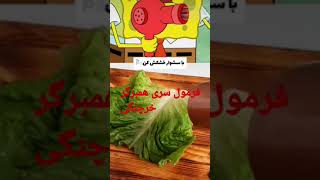 فرمول سری همبرگر خرچنگی funny videobob shorts