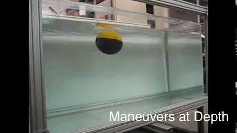 Highly Maneuverable Smooth Underwater Robots