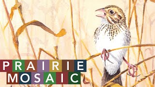 Prairie Mosaic 1404