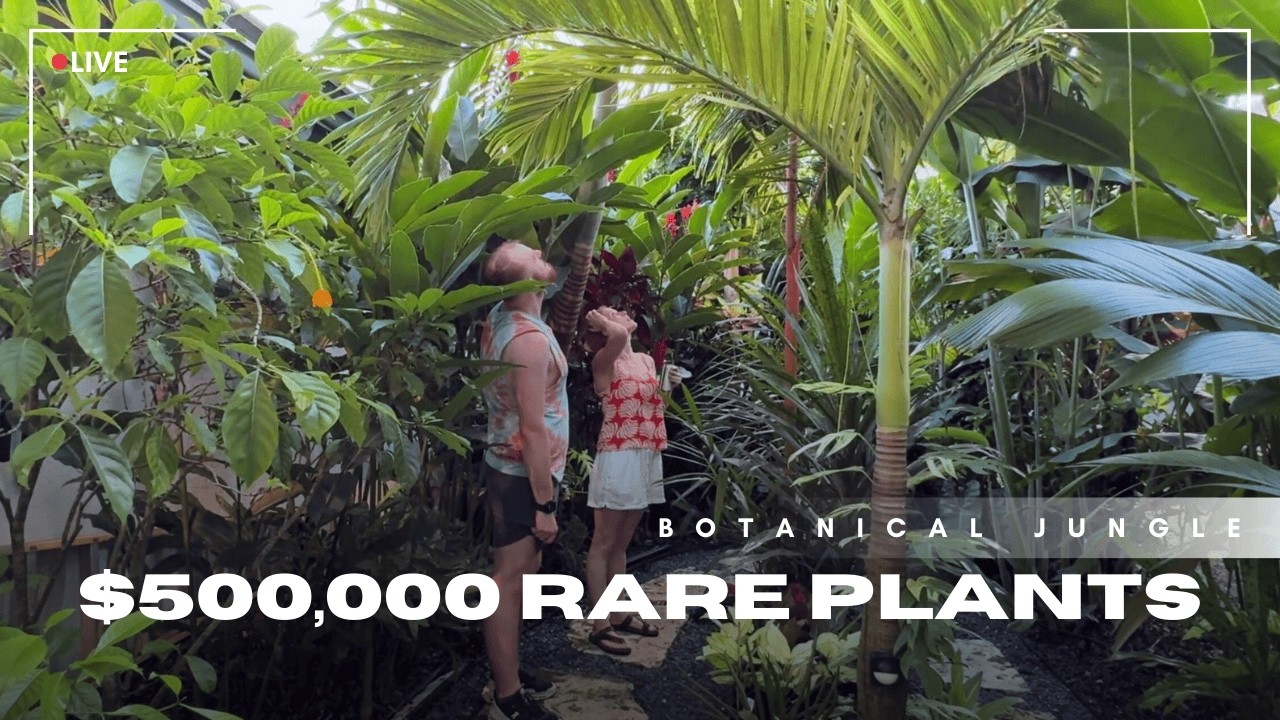 Exclusive Access Inside Florida's Most Exotic Private Jungle Garden