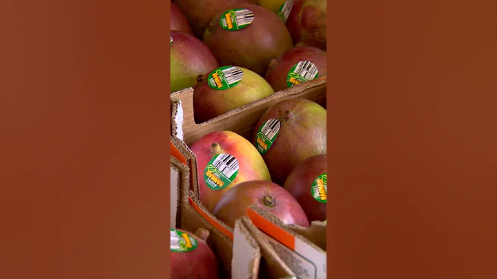 SNAP benefits are going away amid government shutdown