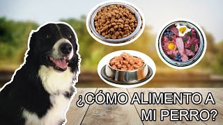 TIPOS de ALIMENTACION para PERROS | DOG FOOD (Dog Tips) by BC Kenai 2,656 views 4 years ago 6 minutes, 18 seconds