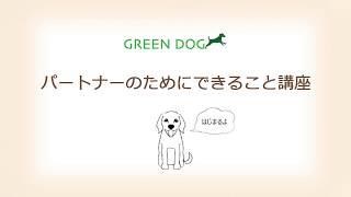 シニア犬におくる、健康寿命を延ばす「ごはん」のコツ