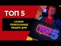 ТОП 5 Самые прикольные видео дня.