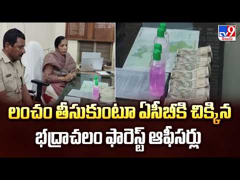 Bhadrachalam : లంచం తీసుకుంటూ ఏసీబీకి చిక్కిన భద్రాచలం ఫారెస్ట్ ఆఫీసర్లు - TV9 - TV9