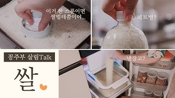 쌀벌레가 싫어하는 쌀 보관Tip/쌀 어떻게 보관하고 계시나요?! [꽁주부TV]