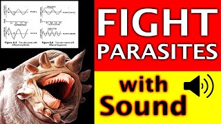 🛑 How to Kill Parasites ( with Sound Frequency )