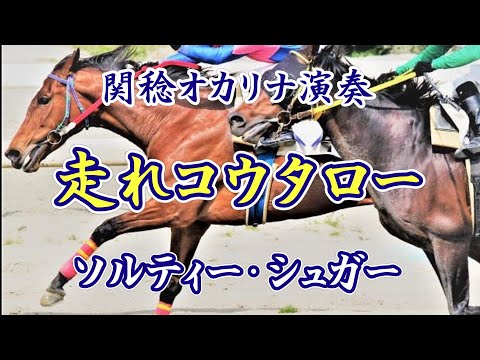 走れコウタロー／ソルティー・シュガー（関稔オカリナ演奏）