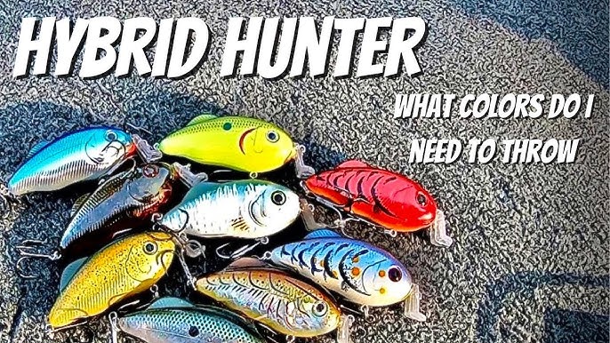 The BEST Bass Fishing Lure? (Strike King Hybrid Hunter Crankbait