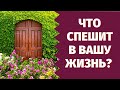 ЧТО СПЕШИТ В ВАШУ ЖИЗНЬ? КАКИЕ СОБЫТИЯ НА ПОРОГЕ? О ЧЕМ ВАМ НАДО ЗНАТЬ НА БЛИЖАЙШИЕ 7 ДНЕЙ?