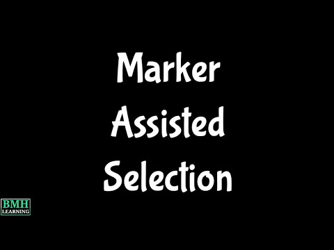 Marker Assisted Selection