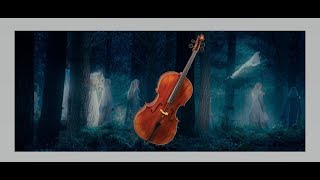 Miniatura de "Passing of the Elves (Cello Cover)"