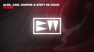 Alok, Axel Cooper & Stefy De Cicco - Te Bote