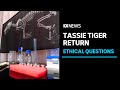 Exhibition inspired by ambitious project to bring back Tasmanian tiger | ABC News