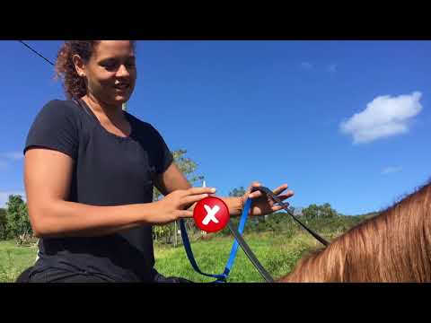 Vidéo: Comment Jouer à Cheval