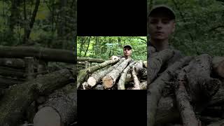 Bushcraft Shelter &amp; Survival Skills #solocamping #survival #campping #bushcraft #survivalmode