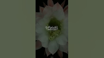 اجمل تلاوة قصيرة تعالج حزنك 😍 تقشعر لها الأبدان 😌🎧 رووووووووعه