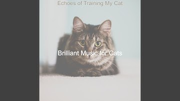 Pulsating Music for Sleeping Cats