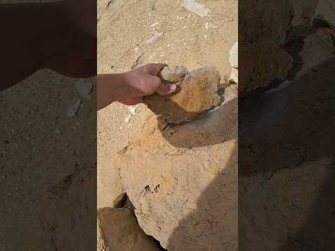 نوع الأحجار في بناء الأهرام