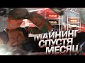 МАЙНИНГ ФЕРМА СПУСТЯ 1 МЕСЯЦ / МАЙНИНГ УМЕР!? / Arizona rp samp