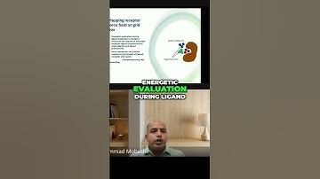 Protein Structure Prediction A Beginner