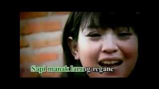 Didi Kempot & Anjar Dewi Angin2 - Angge Angge Orong2