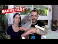 Sauvetage d'un bébé oiseau sauvage !