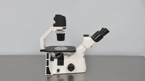 Laxco Inverted Microscope ID 19540