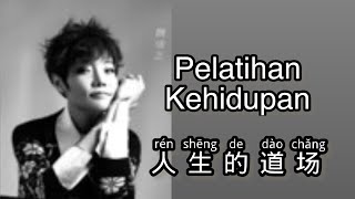 Vignette de la vidéo "Ren Sheng De Dao Chang - 人生的道场 - Wei Jiayi (魏佳艺) - Lagu Mandarin Subtitle Indonesia Pinyin"