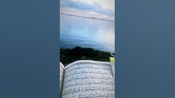 واتس اب قران كريم القارئ عارف الدليمي من سورة (إبراهيم)