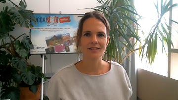 Overview of MICCAI 2020 Challenges