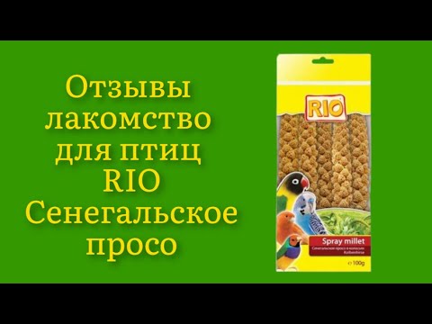 Стоит ли покупать лакомство для птиц RIO Сенегальское просо в колосьях 100г отзывы полные зёрнышек