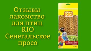 Стоит ли покупать лакомство для птиц RIO Сенегальское просо в колосьях 100г отзывы полные зёрнышек