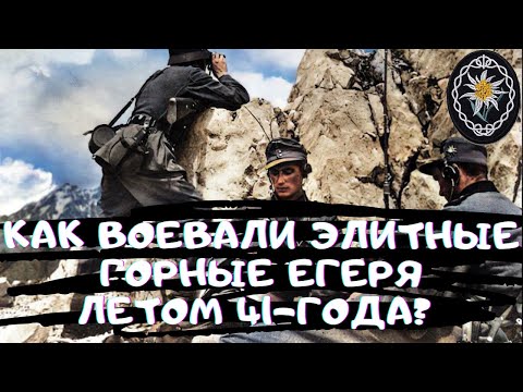 Как сражалась 1-я горнопехотная дивизия «Эдельвейс» в первую неделю войны?