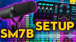 Shure SM7B & GoXLR Setup For Live Streaming | Best Microphone Settings