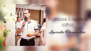 Levinti Clementie - Frumoase S nuntile N colhoz