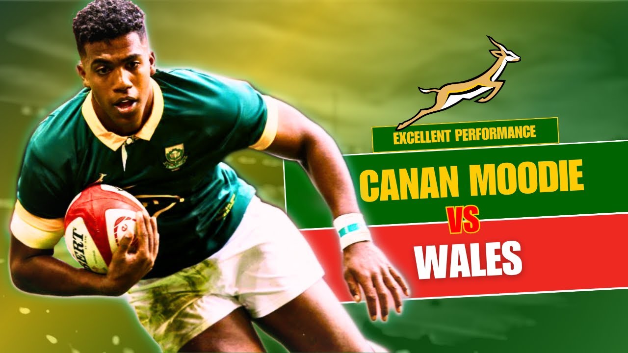 Springboks Star Canan Moodies Brilliant Performance Wales Vs South Africa 2023