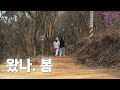 기다리지 않아도 봄은 온다