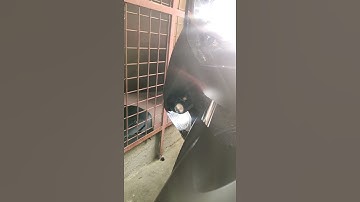 DIY passing light sa stock switch ng nmax v2 ko.