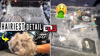 Deep Cleaning The HAIRIEST Harley Davidson F-150! | The Detail Geek