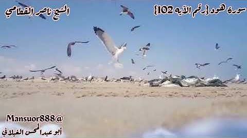 وكذلك أخذ ربك إذا أخذ القرى وهي ظالمة.. سورة هود{الآيه 102}الشيخ ناصر القطامي