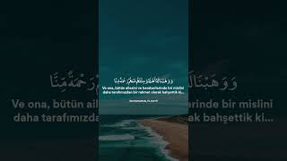 Sâd süresi - Muhammed Raad Al Kürdi #quran_tilavetii