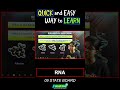 RNA || Heredity & Variation || #biology #stateboard
