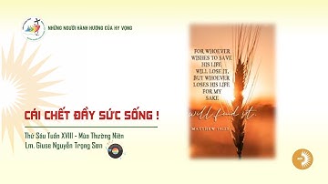 CÁI CHẾT ĐẦY SỨC SỐNG ! Lm. Giuse Nguyễn Trọng Sơn || Thứ Sáu Tuần XVIII - Mùa Thường Niên